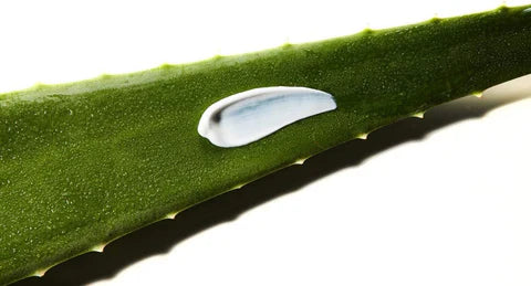 COSRX Aloe Soothing Sun Cream SPF 50+ | Hydrating Lightweight Sunscreen